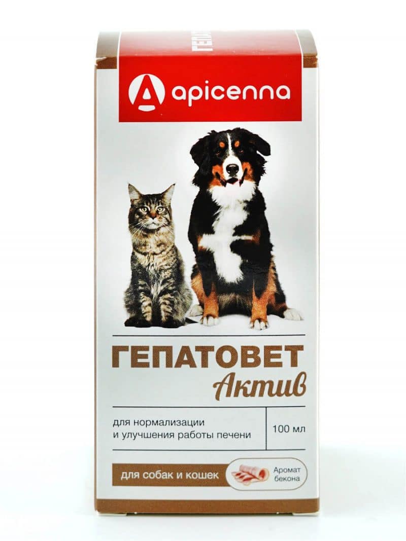 Гепатовет Актив для кошек и собак, флак. 100 мл купить в дискаунтере товаров для животных Крокодильчик в Москве