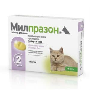 Милпразон антигельминтик для котят и кошек до 2 кг, 2 таблетки купить в дискаунтере товаров для животных Крокодильчик
