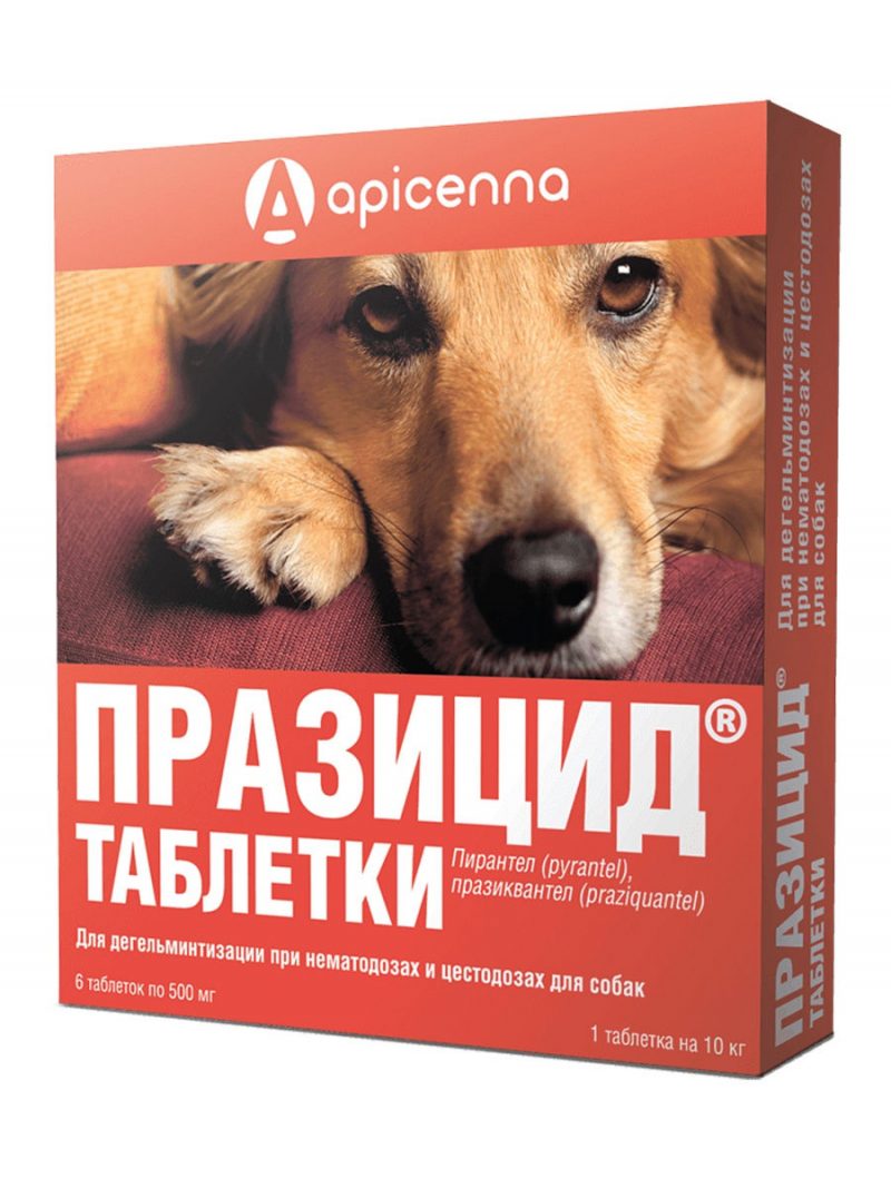 Празицид таблетки для собак 500 мг, 6 шт. купить в дискаунтере товаров для животных Крокодильчик