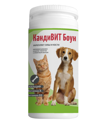 КандиВИТ Боун витамины для собак и кошек купить в дискаунтере товаров для животных Крокодильчик в Москве